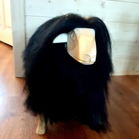 Trzy Szczyty-turbacz بيت للعطل